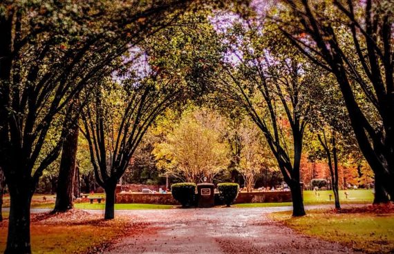 Whispering Pines